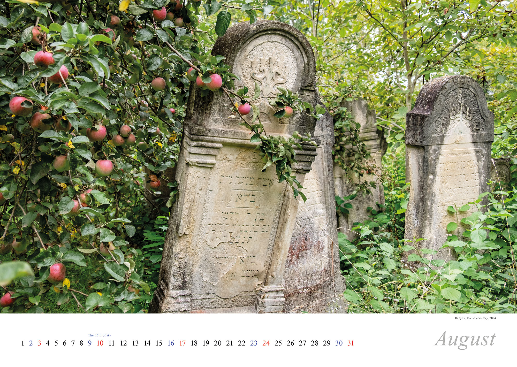 Vanished World Calendar 2025