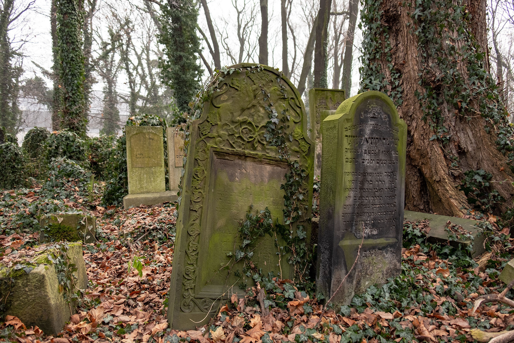 New Jewish Cemetery