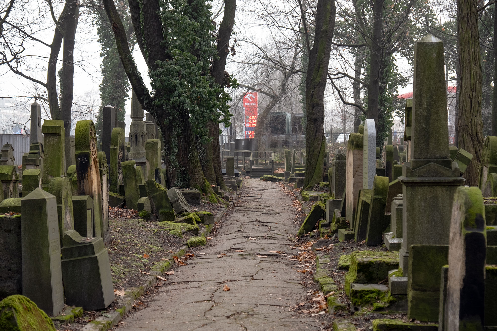 New Jewish Cemetery