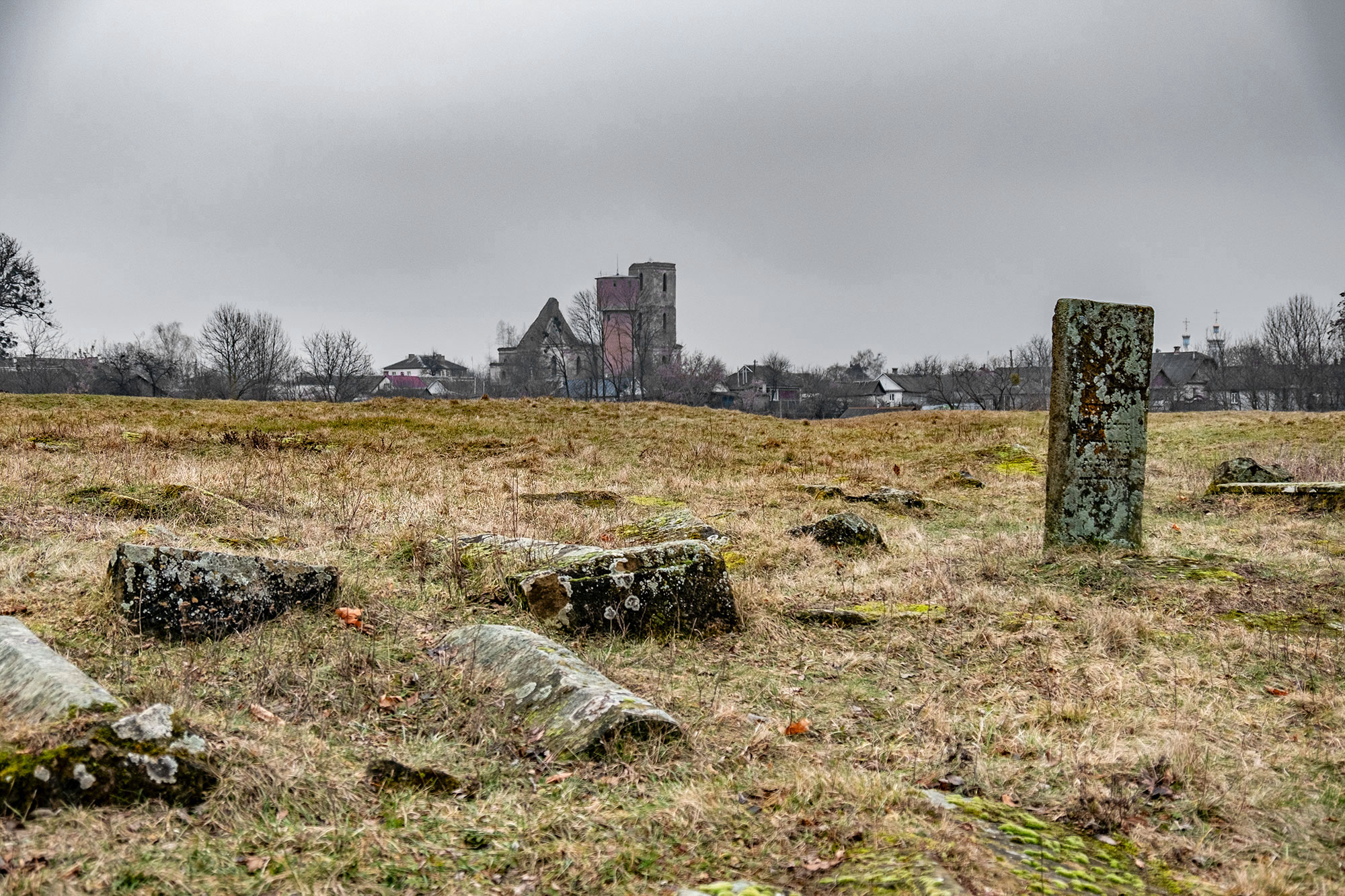Iziaslav - Old Jewish Cemetery