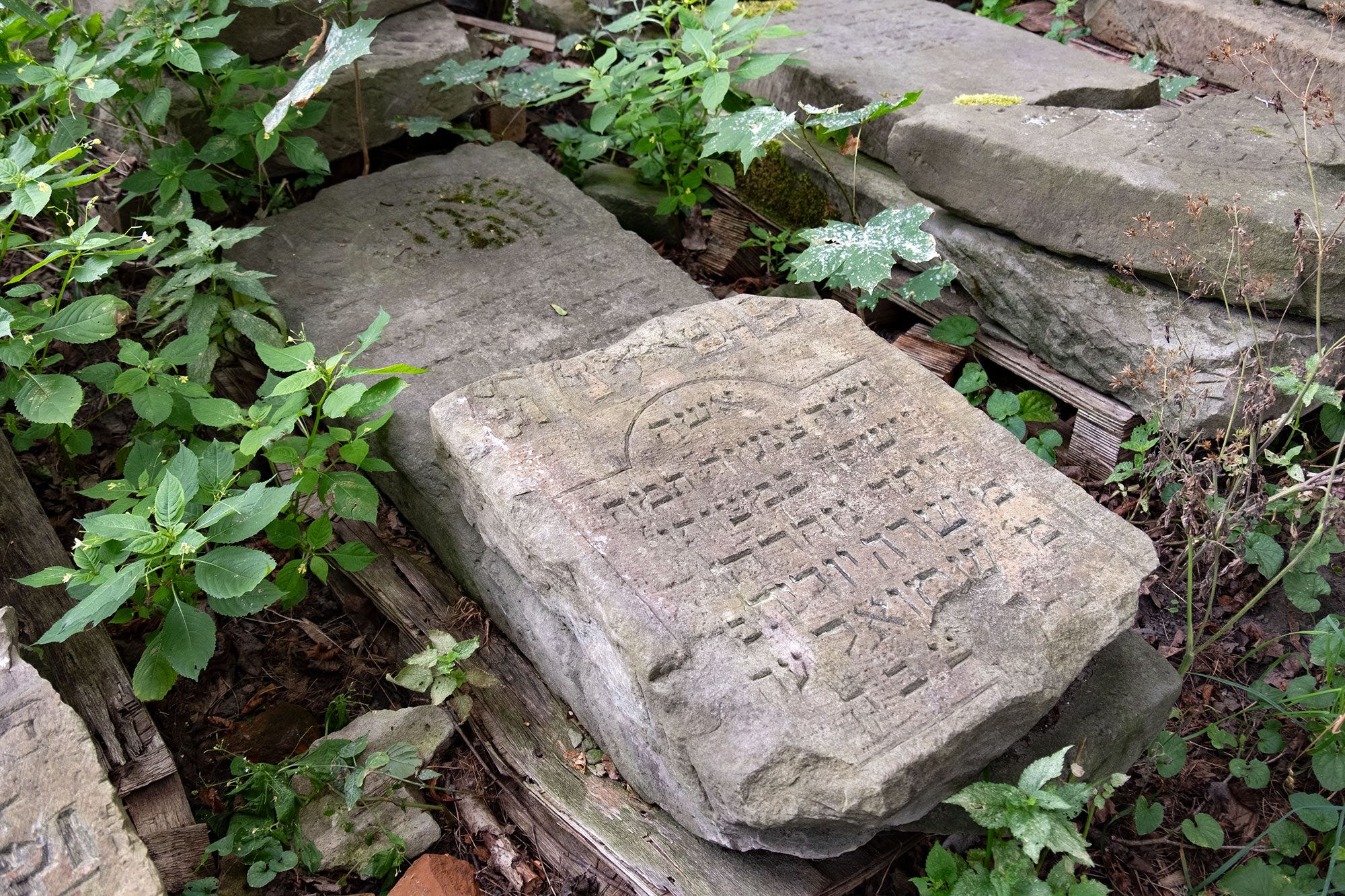 Sokal - Jewish tombstones next to the Great Synagogue