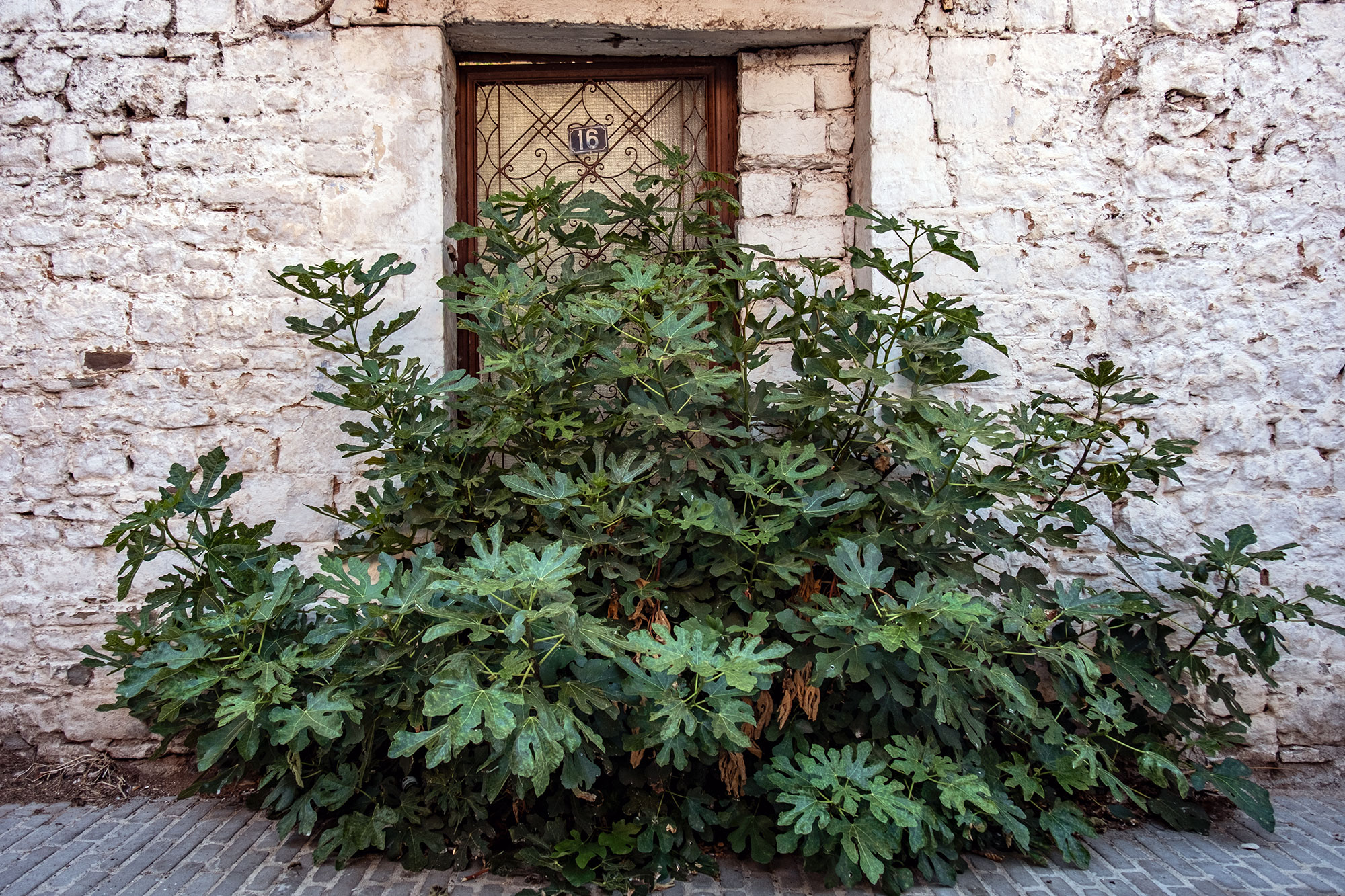 Ioannina - outside of the city walls